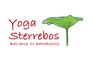 Webdesign en onderhoud door Studio Thijssen